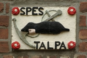 Dijkstraat 11 Spes, Talpa